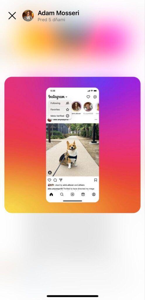 Instagram is testing a new dedicated channel with content only from "Meta verified" accounts.
