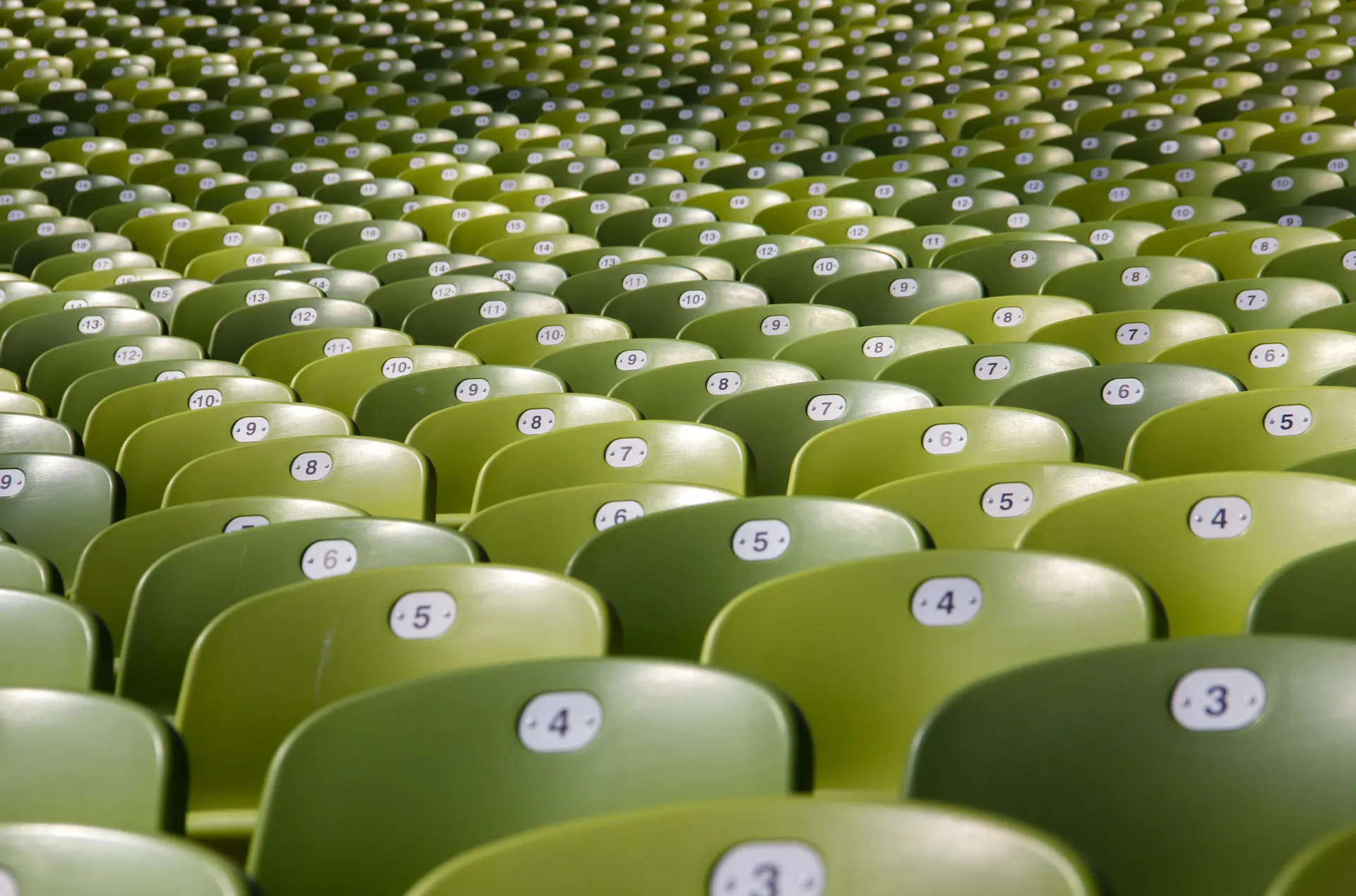 How Often Should the Content Be Added to the Website?
