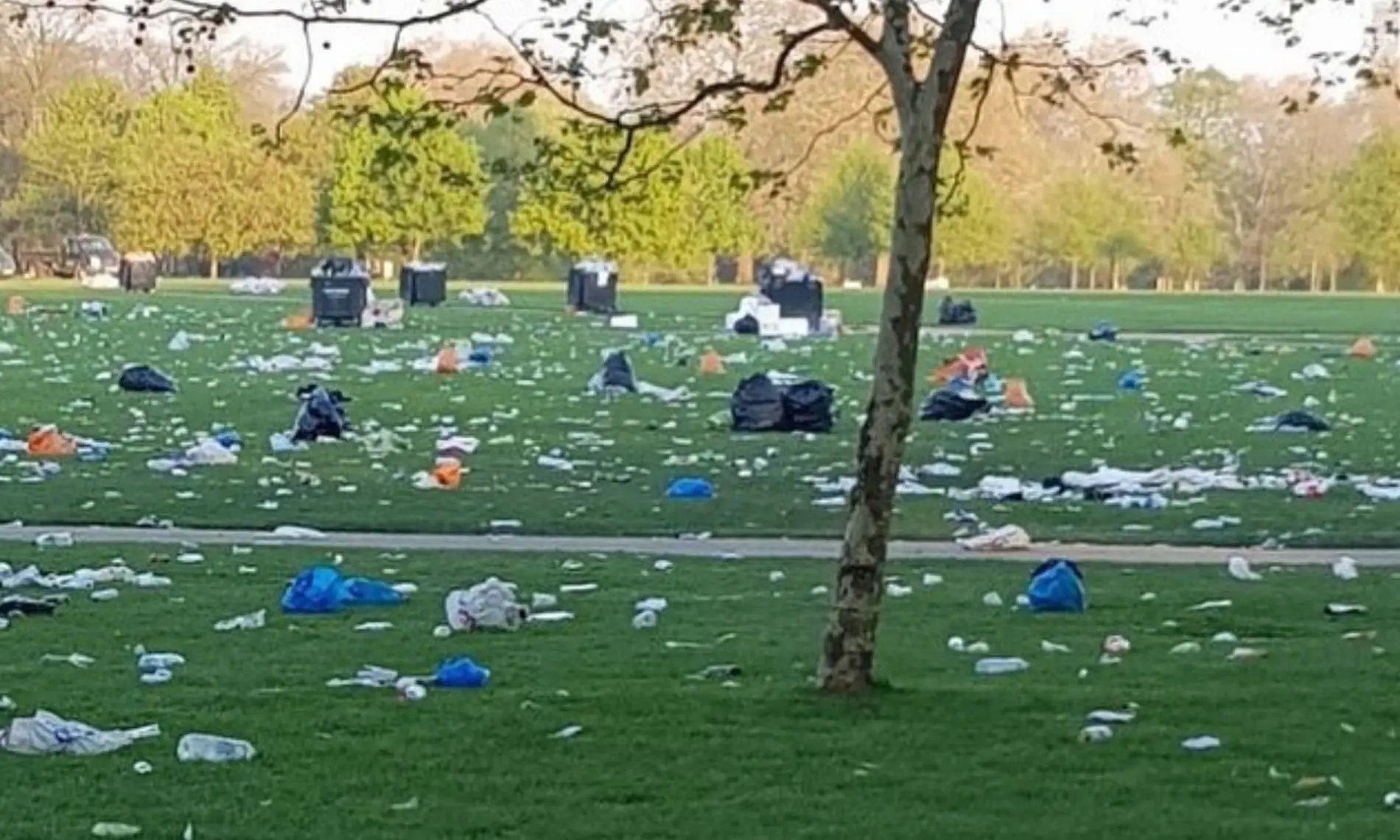 London's Royal Parks littered with garbage